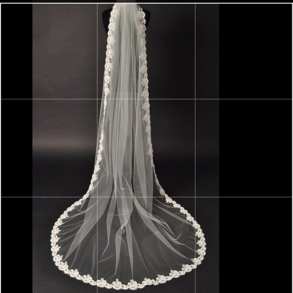 UNWORN Bridal Veil